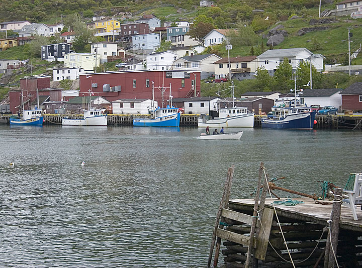 petty_harbour